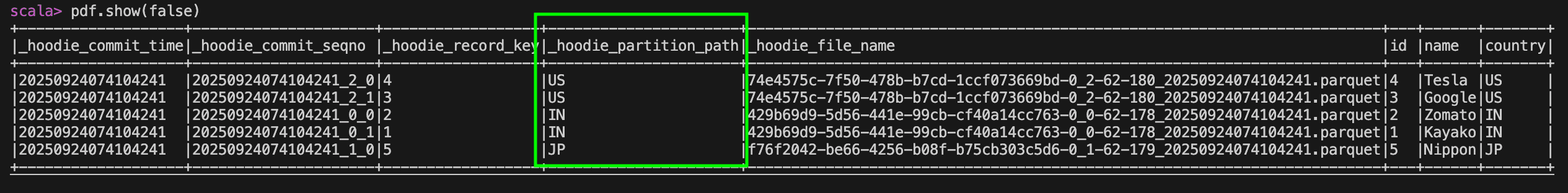 A info of partition Apache Hudi table
