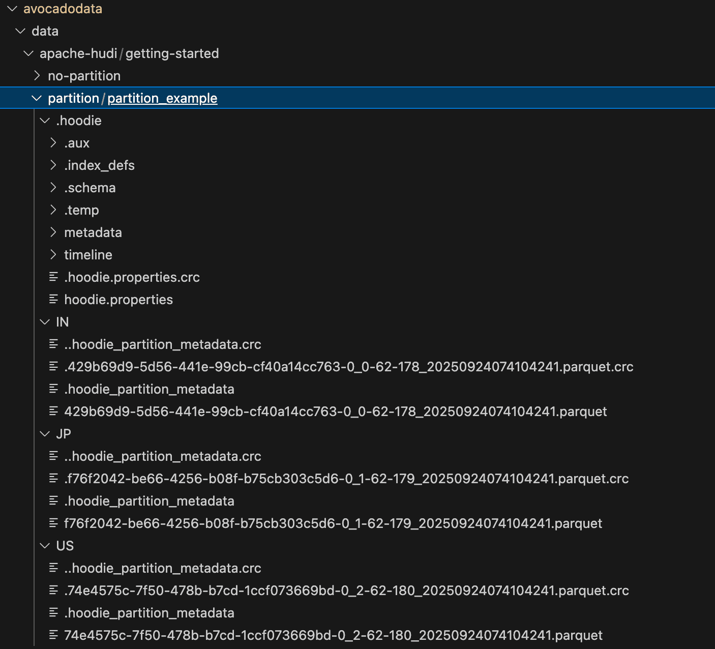 A Example of Apache Hudi partition table