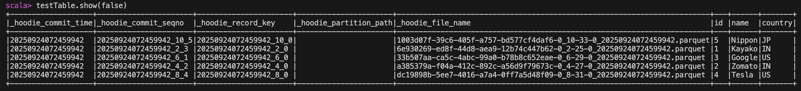Apache Hudi table reading from spark shell