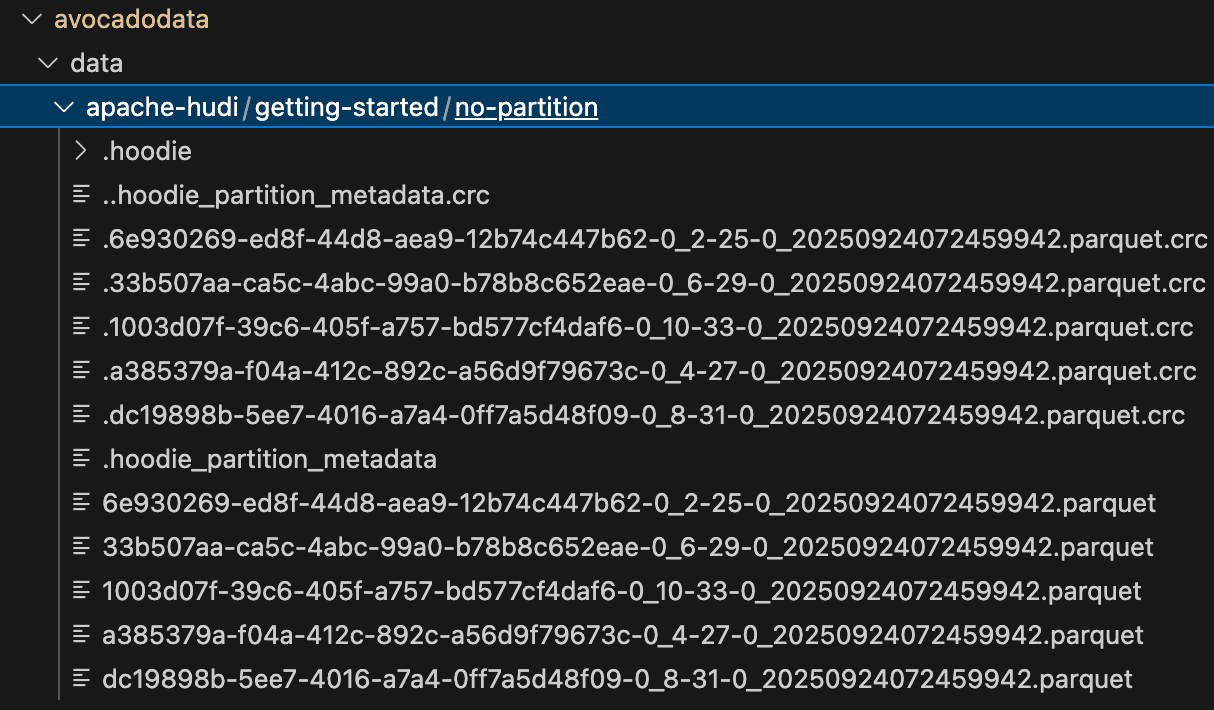 Apache Hudi storage structure