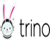 Data Discovery in from SQL based Egnine open source Trino