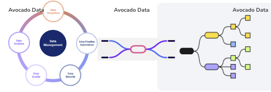 About Us - Data lake company | Avocado D...